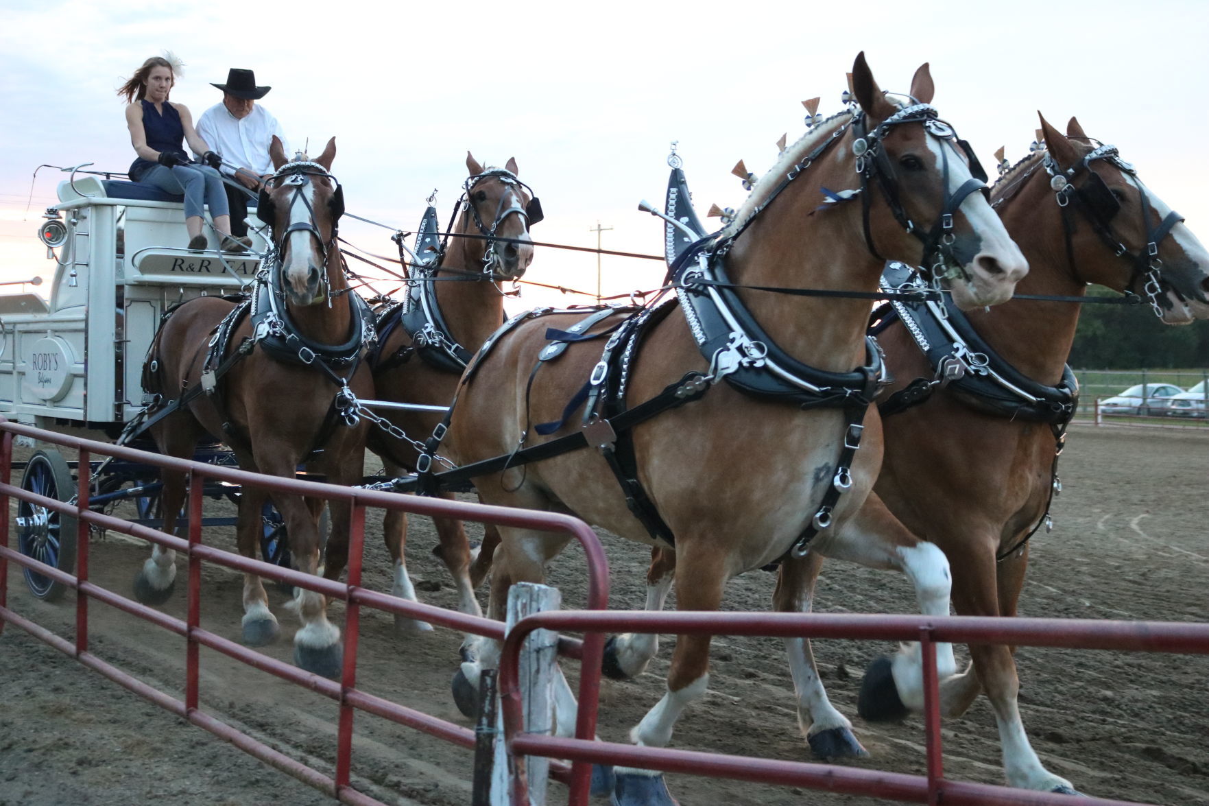 4-Horse Hitch 5